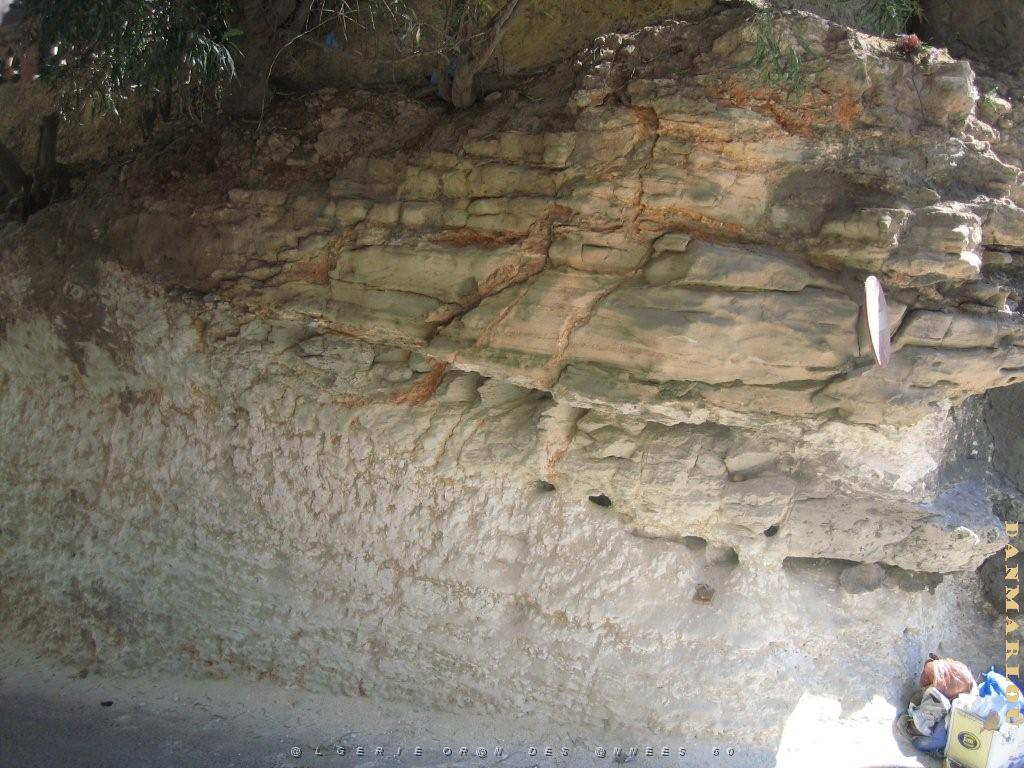 ORAN RUE DUMANOIR -6-.jpg